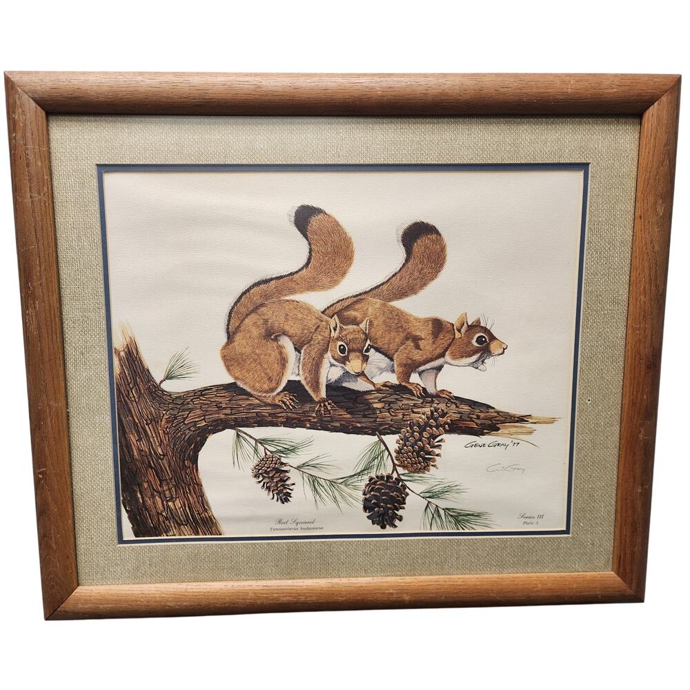 Gene Gray Red Squirrel Lithograph 1977 Series3 Plate3 Signed Framed Wildlife Art